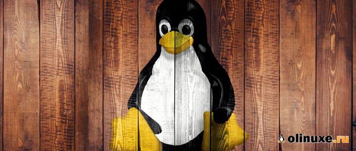 Топ-5 лучших дистрибутивов Linux для начинающих